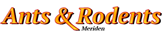Meriden Ant Exterminator & Rodent Control Company Logo